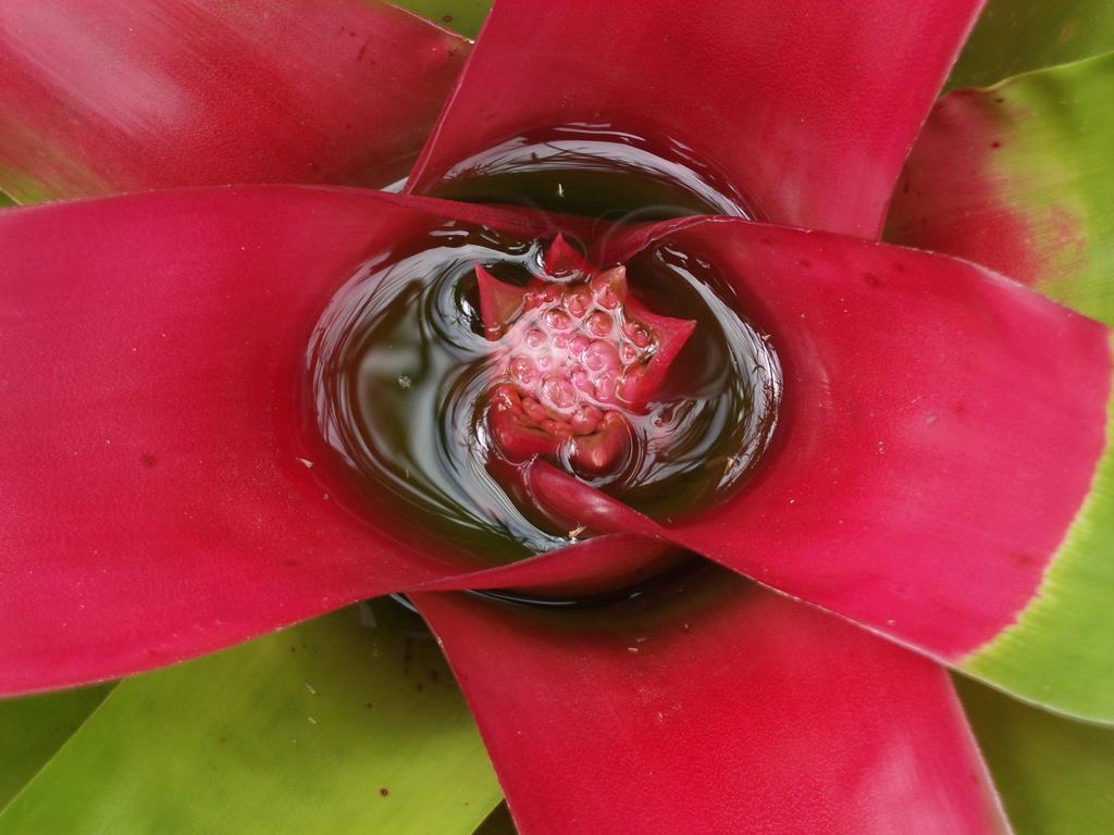 Pousada Oasis Ilha Grande Ngoại thất bức ảnh